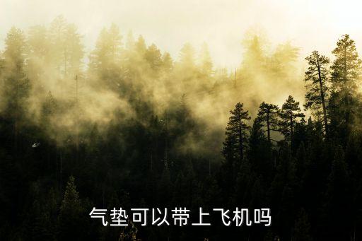 气垫可以带上飞机吗