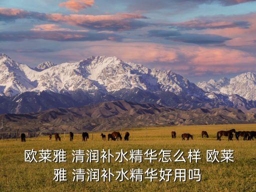  欧莱雅 清润补水精华怎么样 欧莱雅 清润补水精华好用吗