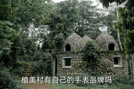 植美村有自己的手表品牌吗