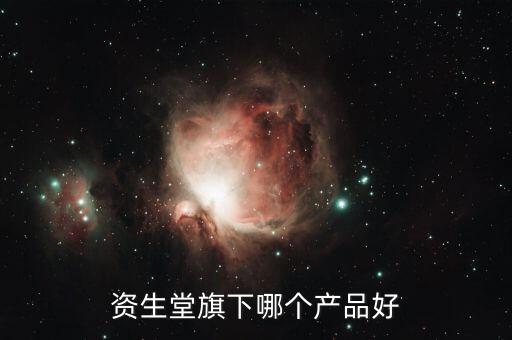 资生堂旗下哪个产品好