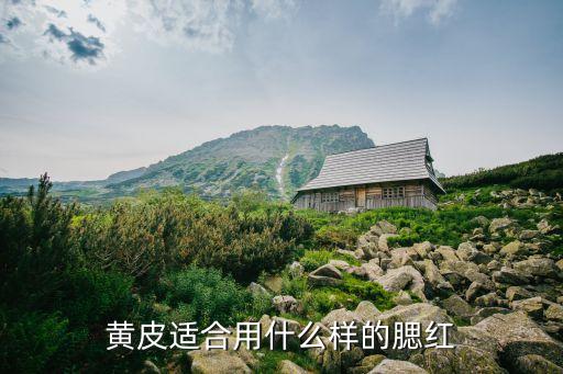 黄皮适合用什么样的腮红