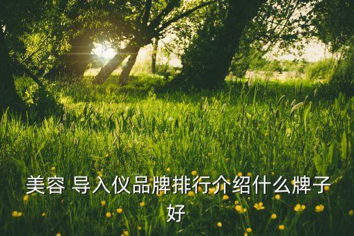  美容 导入仪品牌排行介绍什么牌子好