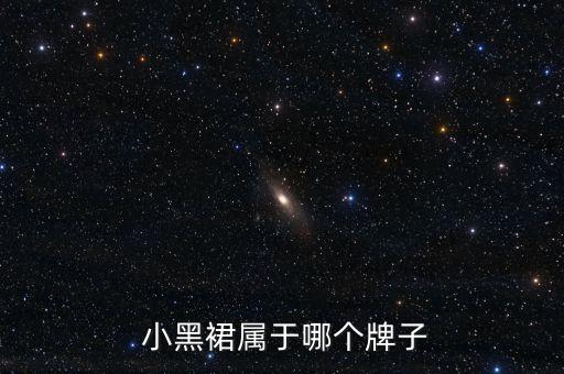  小黑裙属于哪个牌子