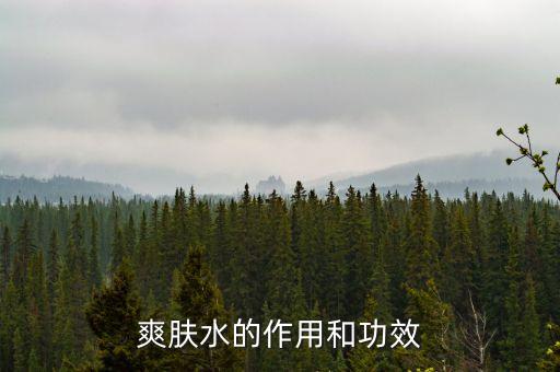 化妆品水有什么作用,化妆水有什么作用?看这里!