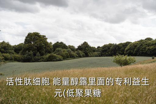 能量露是什么,能量的三大来源是什么