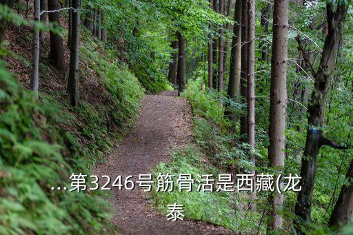 ...第3246号筋骨活是西藏(龙泰