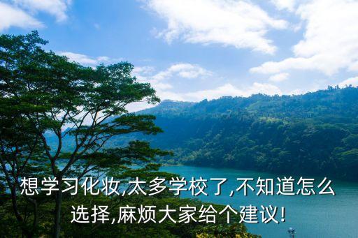 想学习化妆,太多学校了,不知道怎么选择,麻烦大家给个建议!