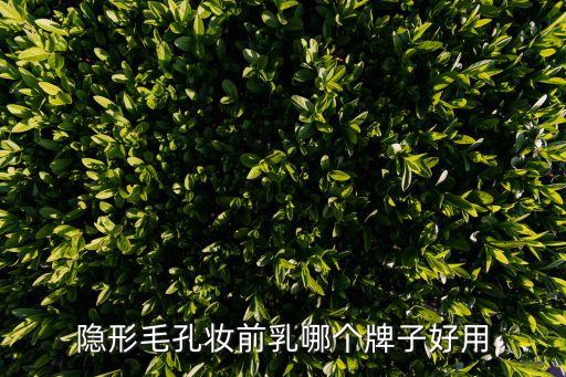 隐形毛孔妆前乳哪个牌子好用