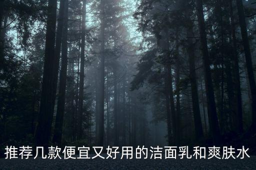 推荐几款便宜又好用的洁面乳和爽肤水