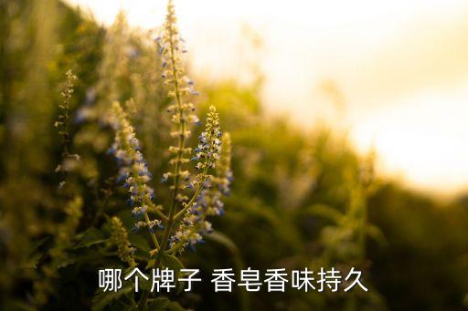 滴露香皂蓝色是什么味,力士蓝色香皂是什么味的