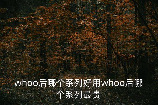 后的水妍精华怎么样,水妍素护肤品怎么样
