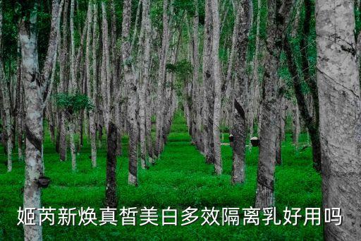 姬芮的护肤套怎么样,怎么样使用姬芮美白隔离霜你会知道这些!