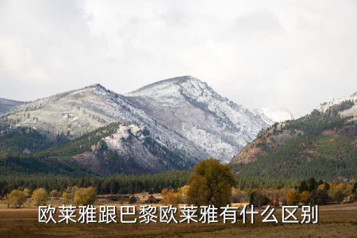 欧莱雅跟巴黎欧莱雅有什么区别