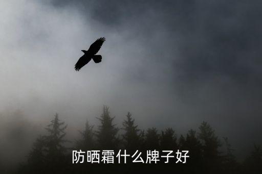 防晒霜什么牌子好