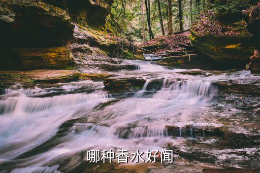 浪凡光韵闻起来怎么样,哪款香水好闻？