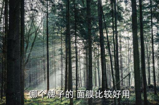 哪个牌子的 面膜比较好用