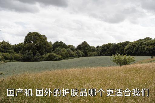 国产和 国外的护肤品哪个更适合我们