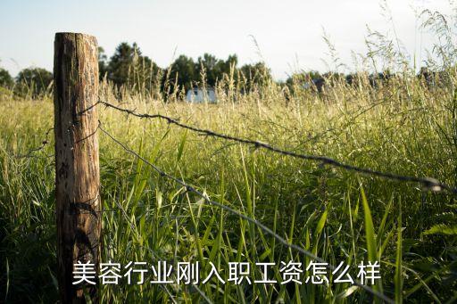 美容行业刚入职工资怎么样