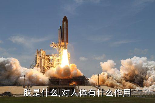 肽是什么,对人体有什么作用