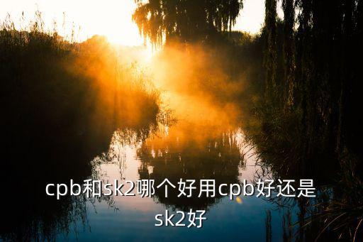 cpb和sk2哪个好用cpb好还是sk2好