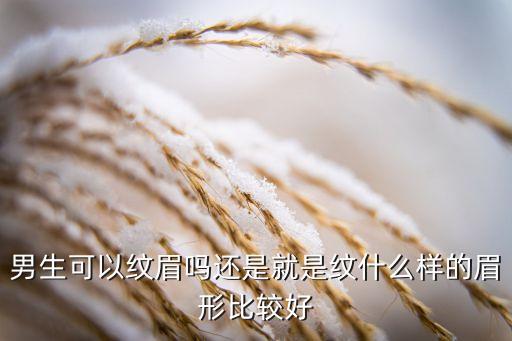 男生可以纹眉吗还是就是纹什么样的眉形比较好