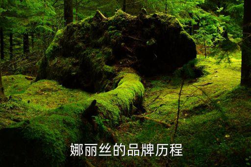 怎么样鉴别娜丽丝化妆水,娜丽丝化妆水生产日期在哪里看