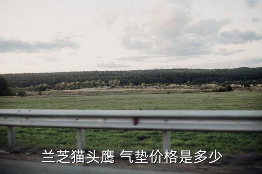  兰芝猫头鹰 气垫价格是多少
