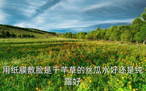 用纸膜敷脸是千芊草的丝瓜水好还是纯露好