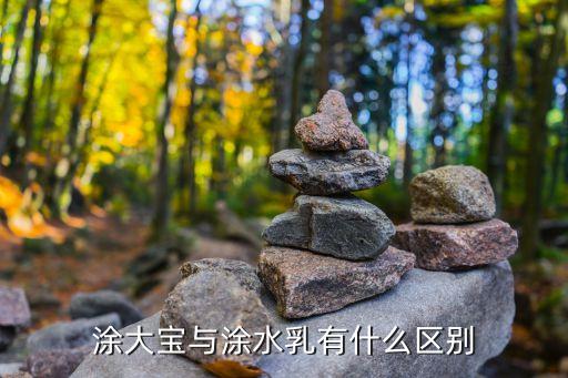 涂大宝与涂水乳有什么区别