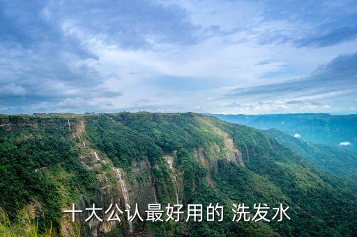 十大公认最好用的 洗发水
