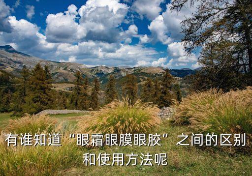 有谁知道“眼霜眼膜眼胶”之间的区别和使用方法呢