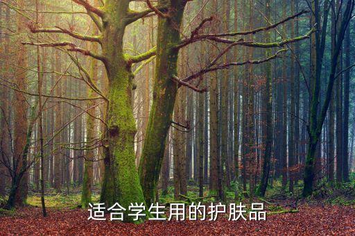 适合学生用的护肤品