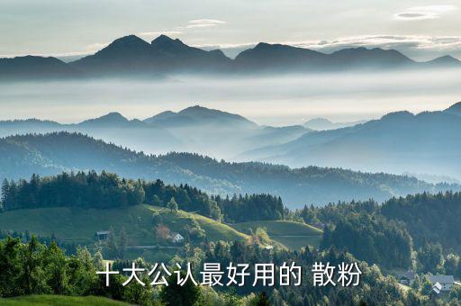 十大公认最好用的 散粉