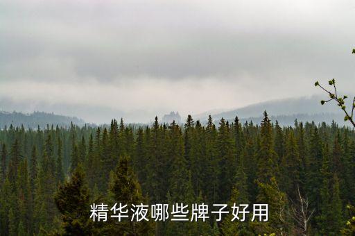  精华液哪些牌子好用