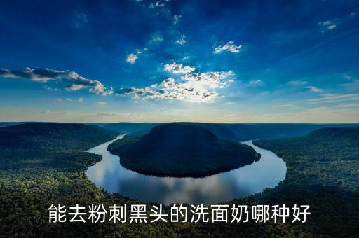 能去粉刺黑头的洗面奶哪种好