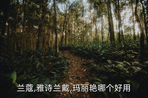 兰蔻,雅诗兰戴,玛丽艳哪个好用