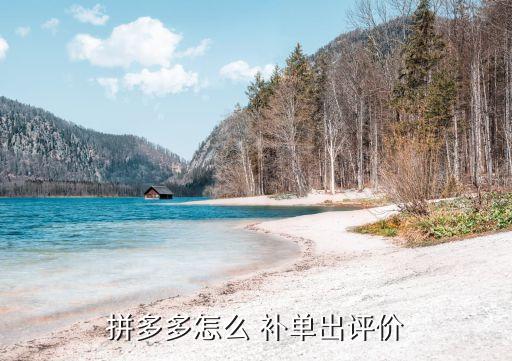 品心网络补单链接在哪里
