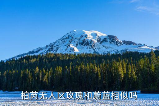 柏芮无人区玫瑰和蔚蓝相似吗