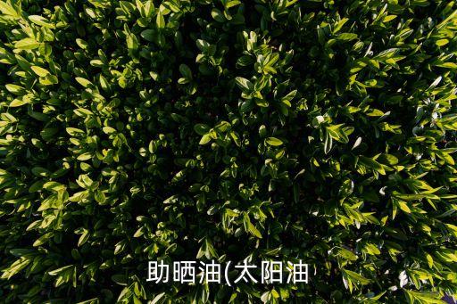 助晒油(太阳油