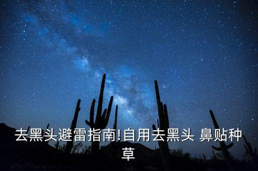 去黑头避雷指南!自用去黑头 鼻贴种草