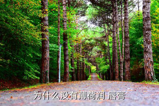 为什么没有薄荷润 唇膏