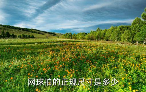 martina女士包是什么牌子,我觉得martin比maria更好!