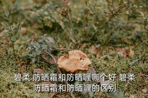  碧柔 防晒霜和防晒喱哪个好 碧柔 防晒霜和防晒喱的区别
