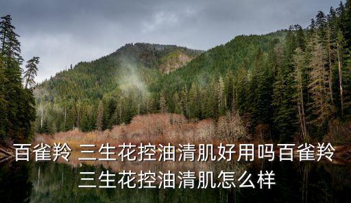 百雀羚 三生花控油清肌好用吗百雀羚 三生花控油清肌怎么样