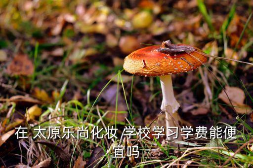 在 太原乐尚化妆 学校学习学费能便宜吗