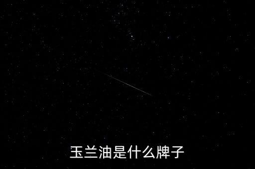 玉兰油是什么牌子