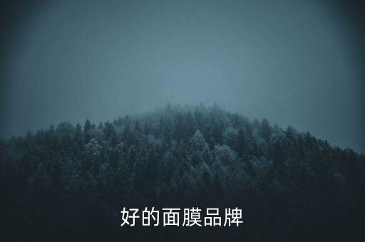 好的面膜品牌