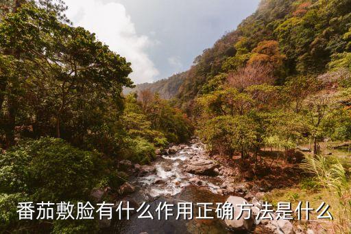 番茄奶粉面膜怎么样,神奇森林番茄面膜怎么样？