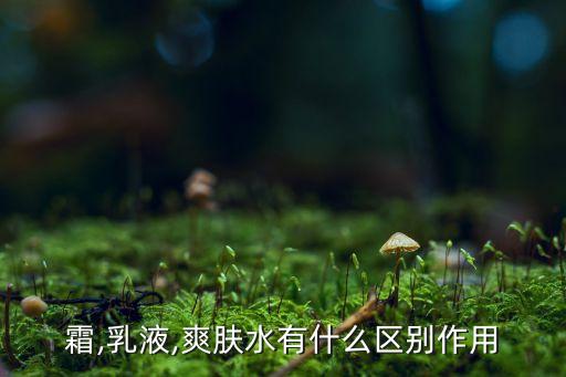 霜,乳液,爽肤水有什么区别作用