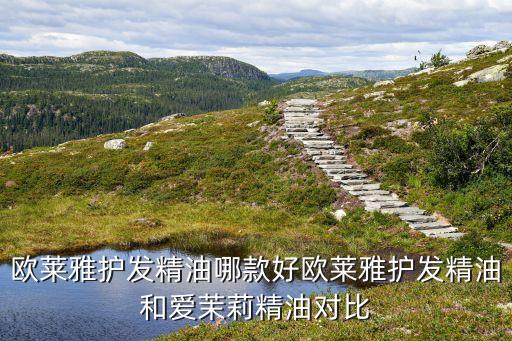 欧莱雅沙龙怎么样,巴黎欧莱雅沙龙洗发水